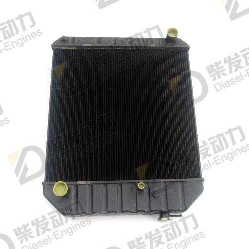 Radiator 21063818